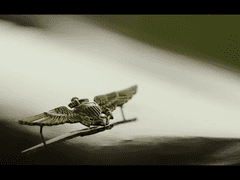 태양을 향해 날아가는 이를 착륙 시키는 법 2