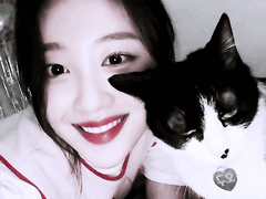 발고 붉은 보정 PSD