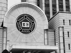 어쩌면 우리는,