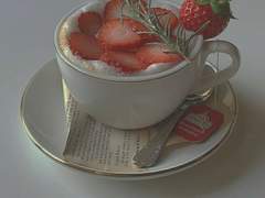 댕댕의 적 은! 렌❥