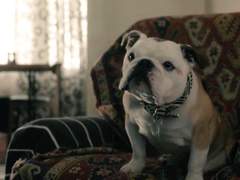 패터슨, 패터슨