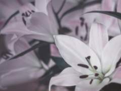 [ 비공개 신청서 / 나리 ]