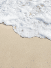 커뮤 로그 모음