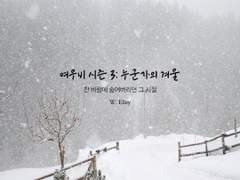 여우비 시즌 3-5화