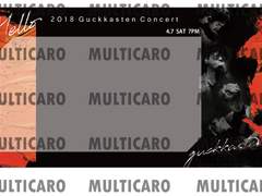 2018년-2019년 국카스텐 티켓꽃이 모음