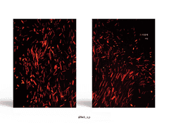 Sold out. 그 다음에