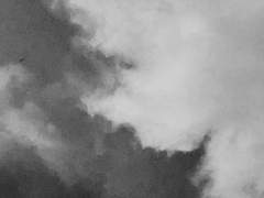 잿빛 눈동자, 핏빛 눈동자