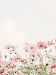 은은한 학교생활