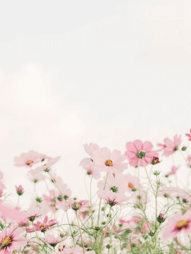 은은한 학교생활