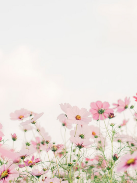 반장선거 1표 받아본 사람 모여라