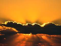 서지아/2학년/XX