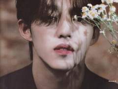 이제 그만하자, 나의 시클라멘.