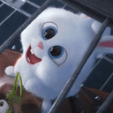 봄을 닮은 겨울