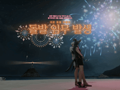 2022 불꽃 축제 (1)