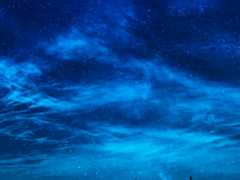 별 아래 서 있는 자는 밤의 사람이고,