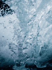 문을 여는 자들