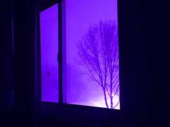 당신이 자처한 일을 부디, 후회하지 말길