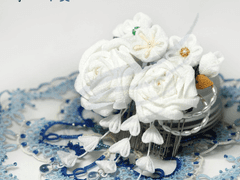 ㅁㅂ님 백장미 커미션 (빗핀)