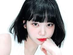 폴라 필터 모음