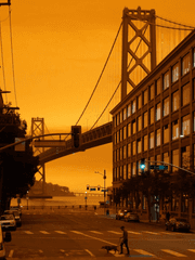 모든것이 불타는 저 태양처럼