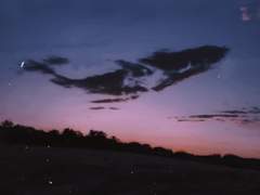 고래도 사랑을 합니까?