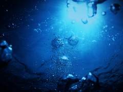 [류셴] 永遠의 桑實