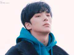 桃花, 복숭아 나무에 핀 꽃