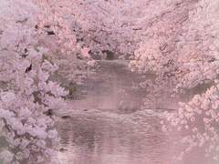 도로시아 드 에르젤 / XX / 10 / 남작