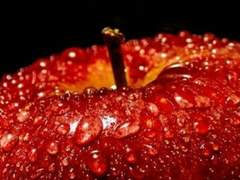 We all die alone, We are all alone.