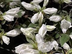 사랑을 알려준 네게,