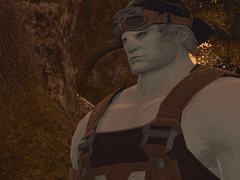 게바 패턴의 진실