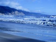 [성홍] 겨울바다