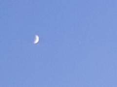 베스페르 오델리아/XX/11/자작