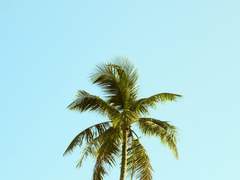 #1. 최근 설렜던 순간