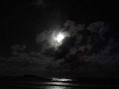 지고의 독백 아래 선사하는 안식