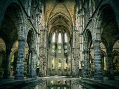 [타츠히메] 양의 구원자