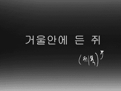 거울 안에 든 쥐