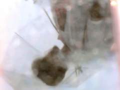 틈새로 반짝이는 01