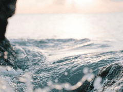 22년 7월 19일 새벽에