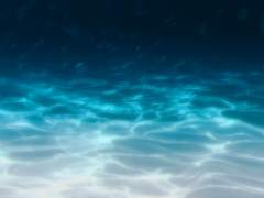 여름, 바다, 그리고 양산