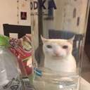 매뉴얼일반인여친