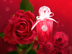 레베카 에버/뱀파이어