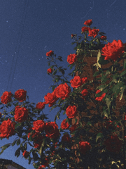 트위터 썰 백업