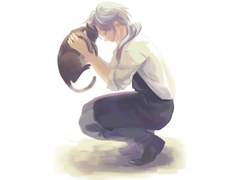 세상에서 고양이가 사라진다면 5