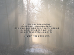 그대는 나를 용서치 말라