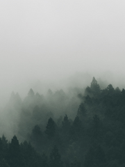 G양의 우섭 관찰일지