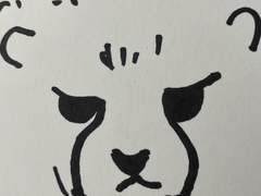 무해한 아기치타를 주웠습니다_02