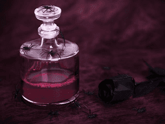 혈향커 | Adam 아담