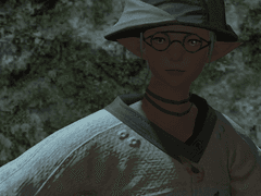 무럭무럭 자라는 어린나무