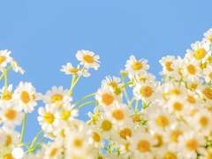 강리아[姜悧雅]